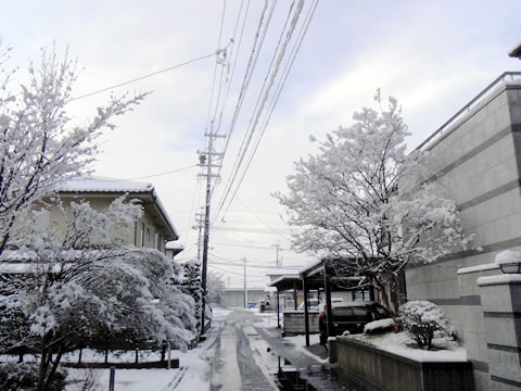 100417_snow01.jpg