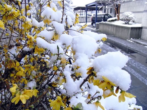 100417_snow03.jpg