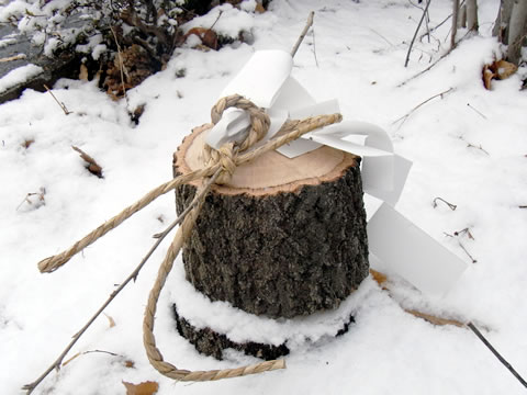 20100215bassai.jpg